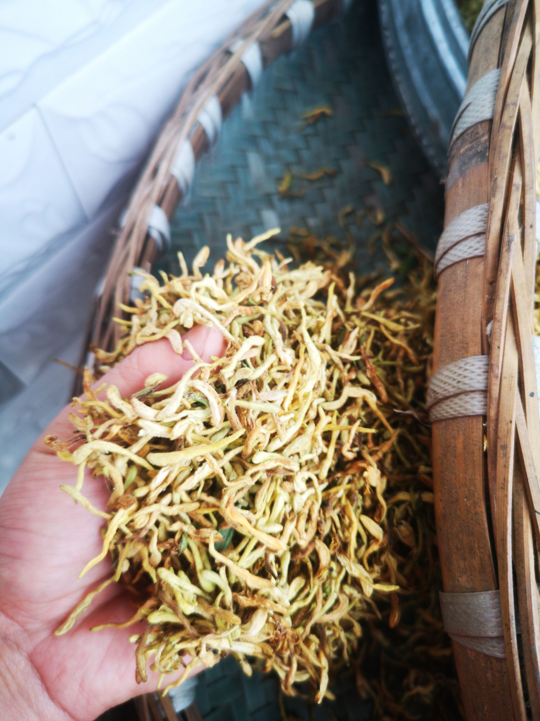 正宗金银花批发特级手选清热去火排毒可搭配菊花枸杞泡水散装花茶