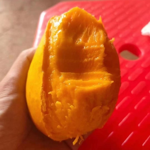湛江台农芒 广东湛江覃斗台芒