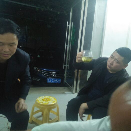 贵定县碧螺春 贵州云雾贡茶鸟王茶