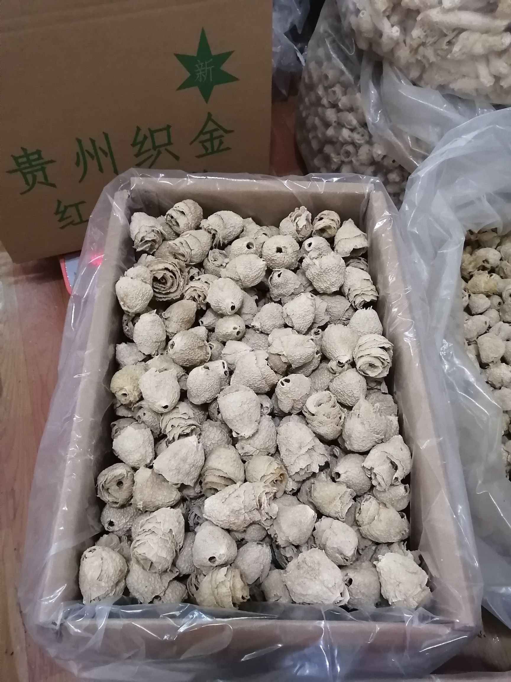 竹荪冒壳、竹毛肚贵州红托竹荪中小个头冒壳竹毛肚