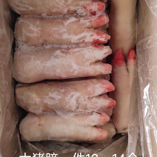 郑州国产母猪蹄