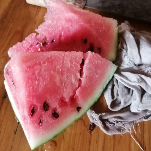 东台市 大量供应8424有籽，无籽西瓜