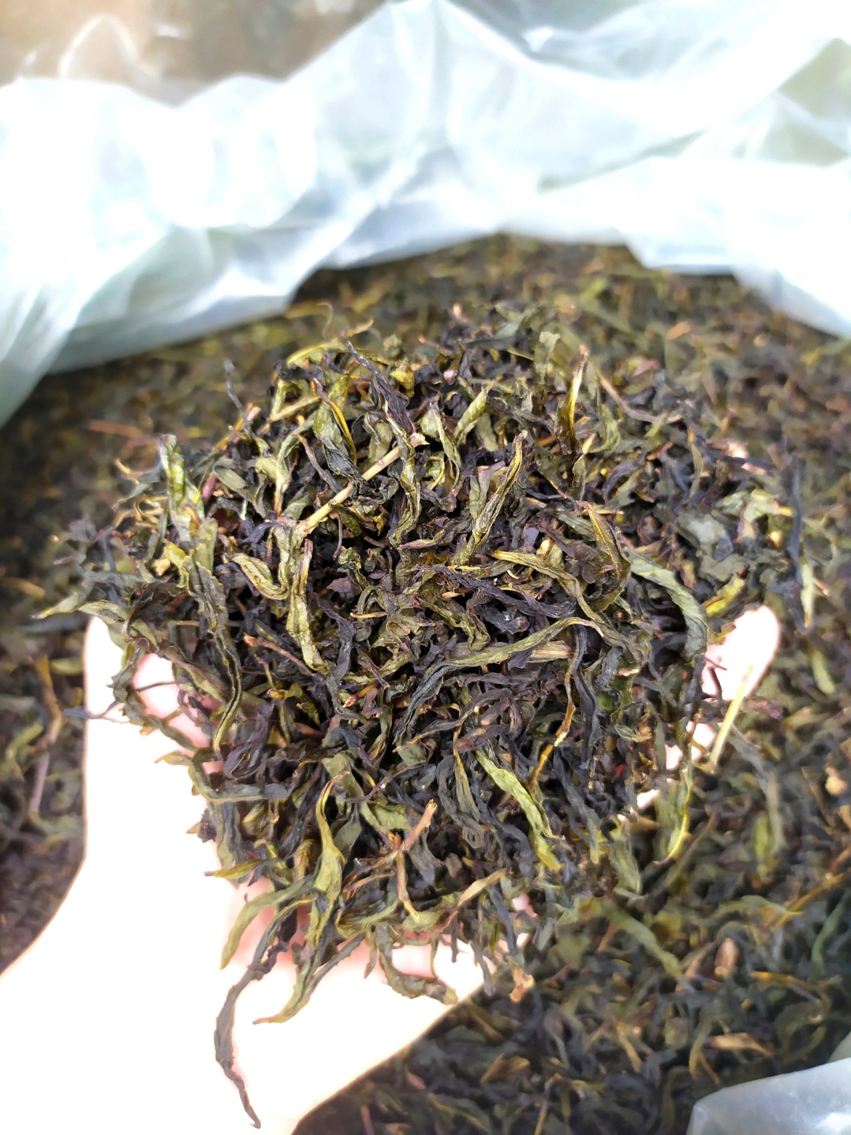 奇兰茶  高山茶潮汕土山茶1斤福建高山茶惠来土山茶叶散装茶叶