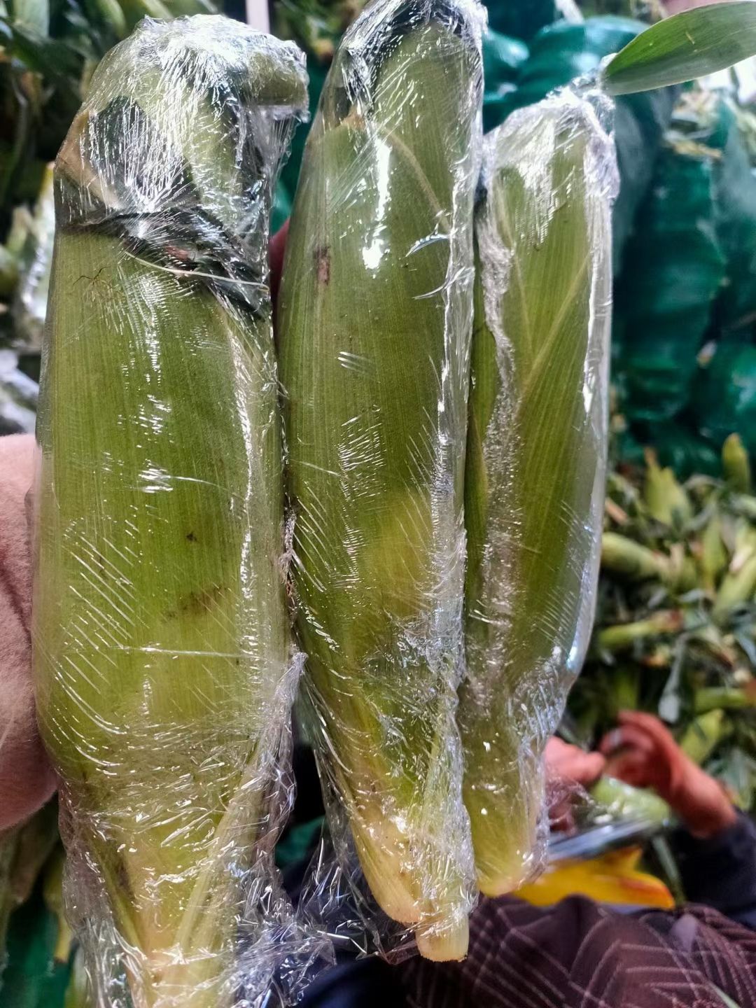 云南水果玉米新鲜甜玉米大量现货玉米棒10斤包邮
