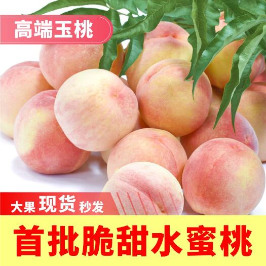 简阳市雪桃  毛桃 玉桃 产地现货直发，深山新鲜水蜜桃，大量供应