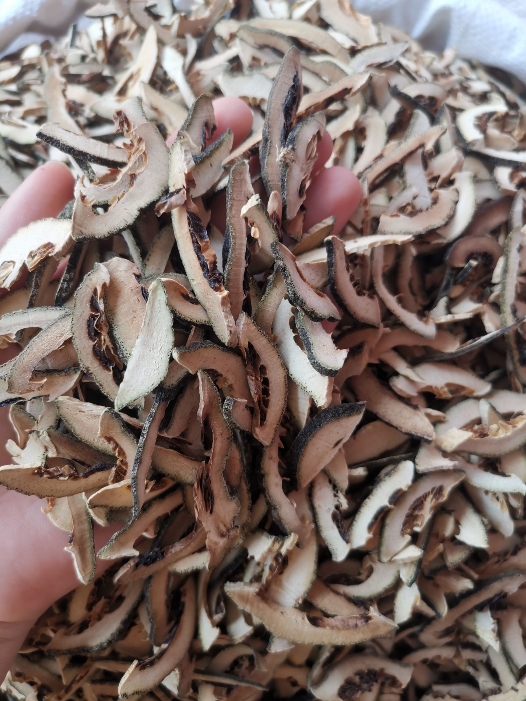 枳壳 江西无硫净货枳壳 规格齐全 产地直销可供批发零售