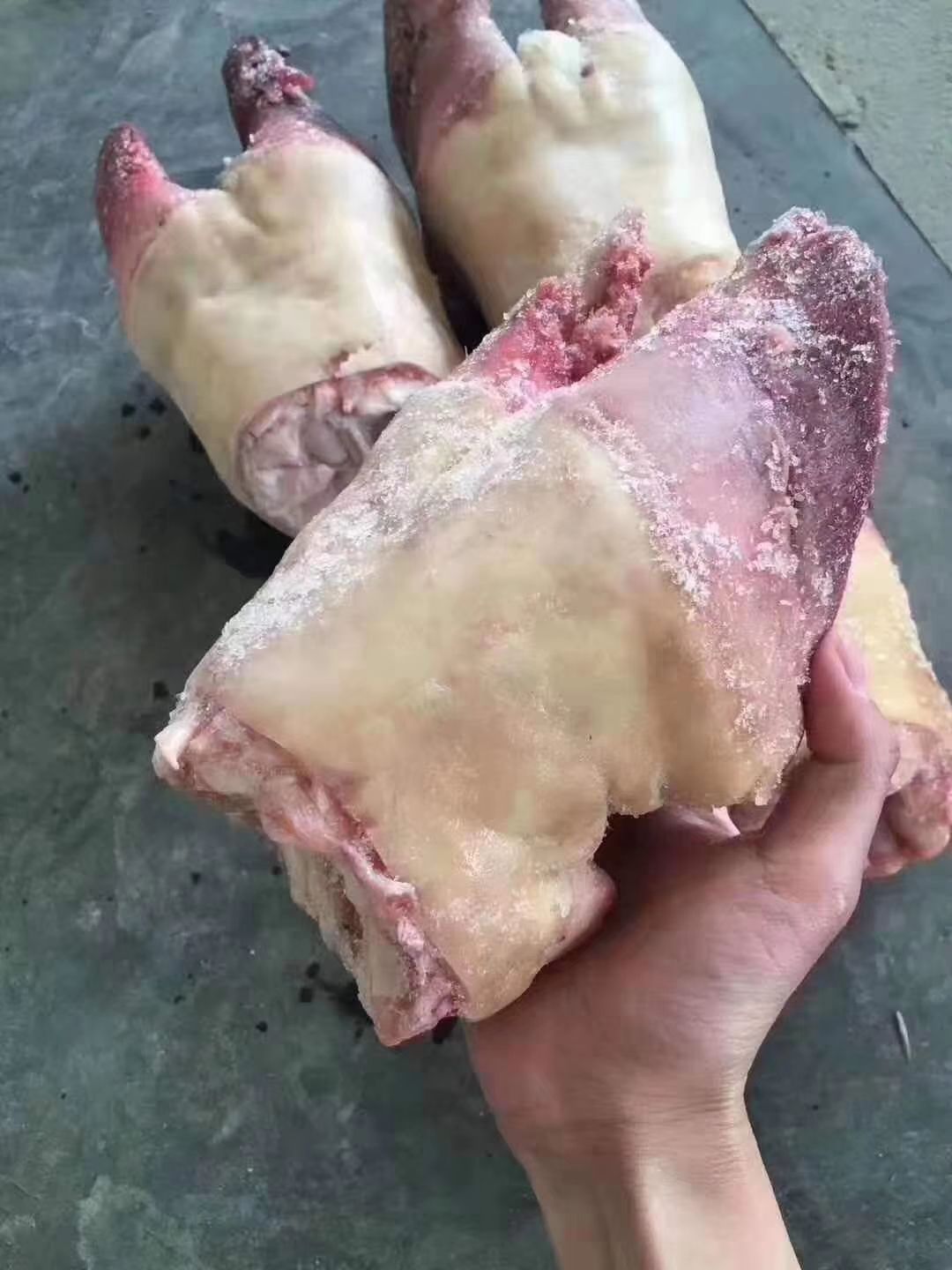 牛蹄  牛脚掌