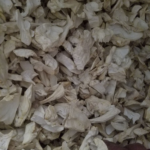  干杏鲍菇根片，最质量的杏鲍菇根片