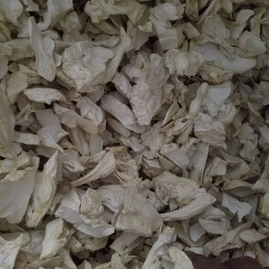 平泉市 干杏鲍菇根片，最质量的杏鲍菇根片