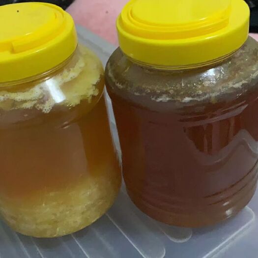 莆田 荔枝蜜，龙眼蜜，百花蜜供应