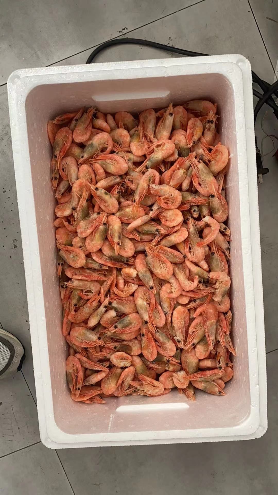  黑头虾北极虾头籽黑头海藻头青头虾自助餐餐饮专用