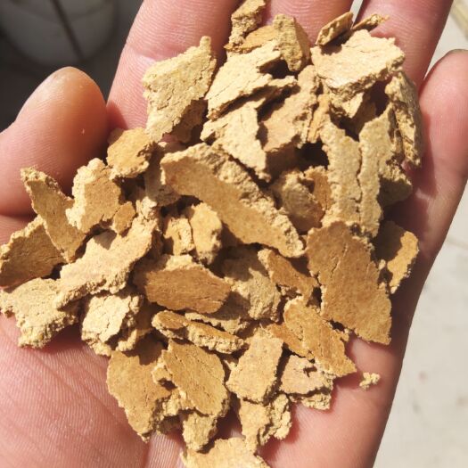 赵县 玉米胚芽饼