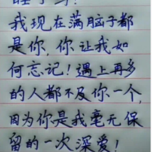 焦作麻鸭 嘛鸭全公