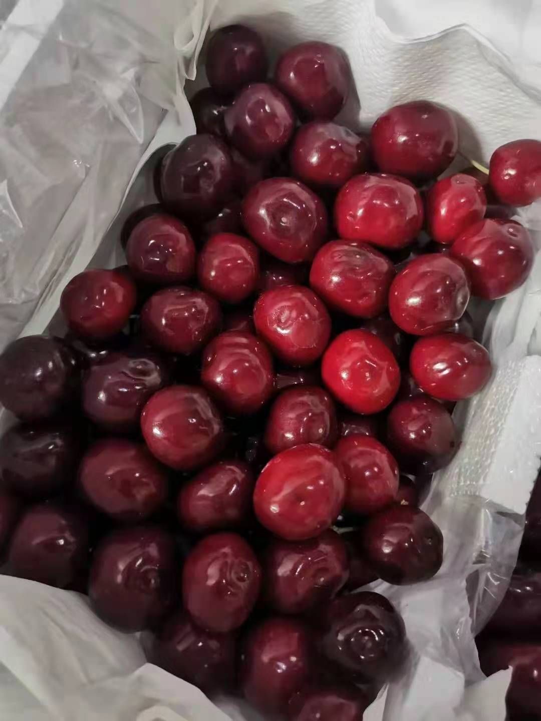 黑珍珠樱桃  汉源车厘子天然水果，自家现摘现卖