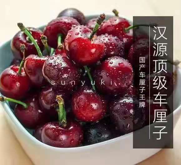 黑珍珠樱桃  汉源车厘子天然水果，自家现摘现卖