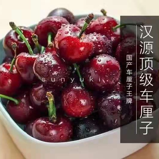 汉源县黑珍珠樱桃  汉源车厘子天然水果，自家现摘现卖