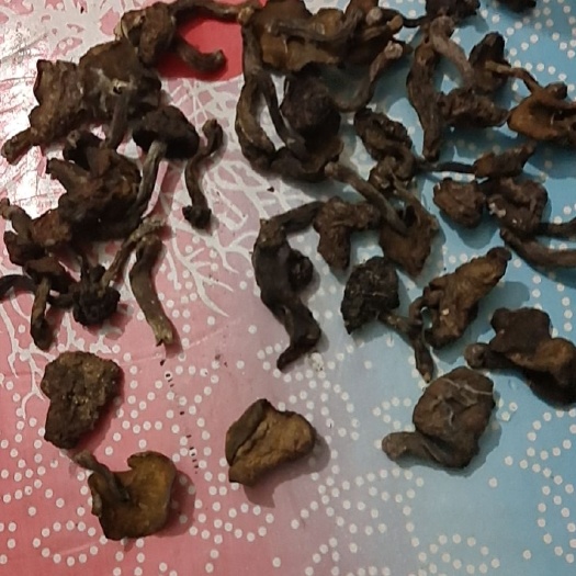 松蘑2024，自然干要的速度，，优惠