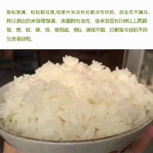 石家庄纯正东北稻花香大米