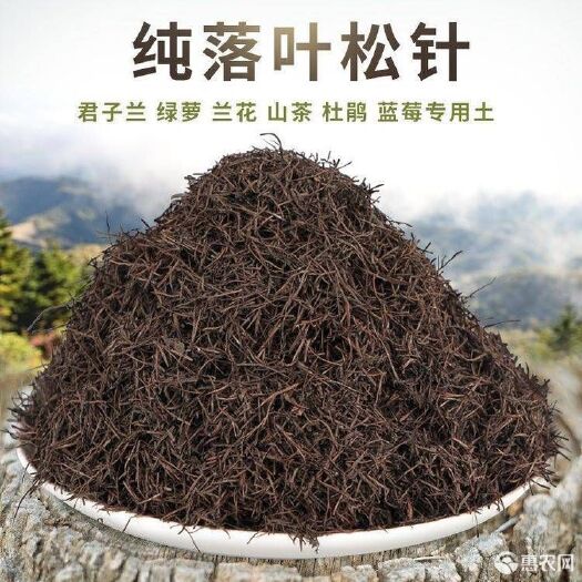 黄平县 腐熟松针10斤（不含土）