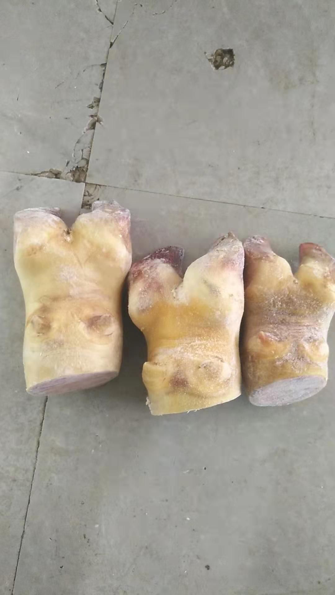 牛蹄 牛脚 牛脚掌 水褪毛可切块
