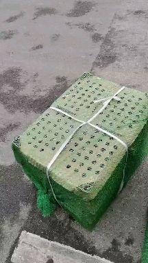 山鸡苗孵化场直供七彩鸡苗，疫苗到位全国发货包路损