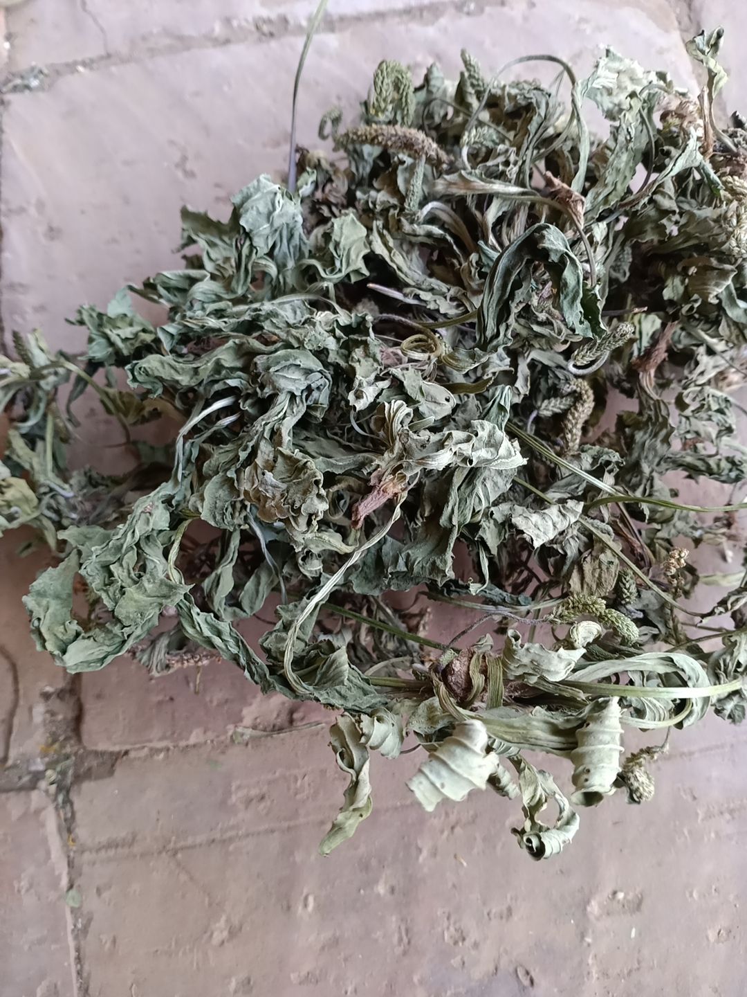 车前草，车前子。小棵干货车前草，干净无杂，过风过筛，青绿色