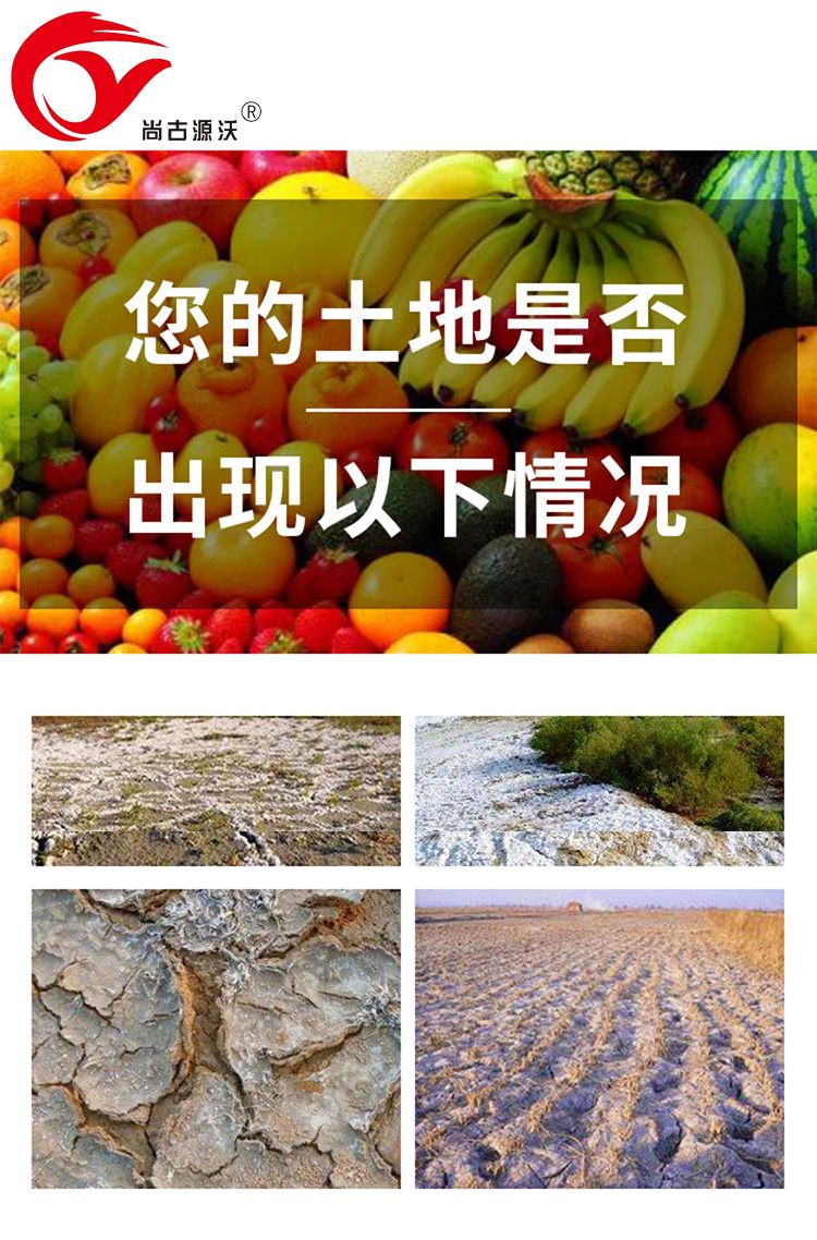 微生物有机肥 生物有机肥 土壤调理剂