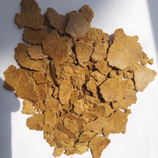 赵县 玉米胚芽饼