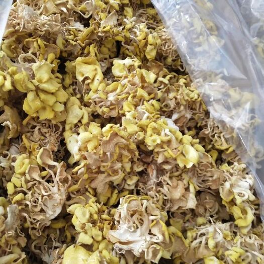 北京批发鸡油菌