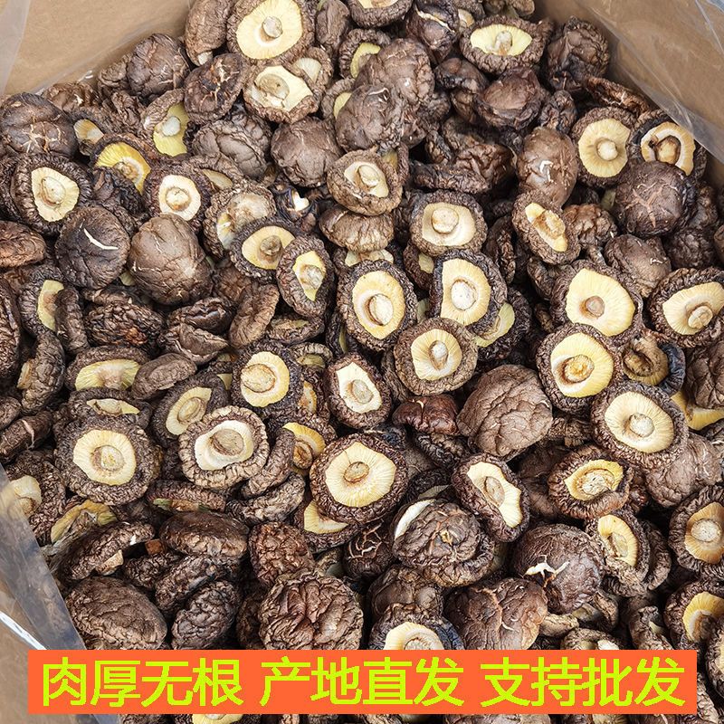 大山野生香菇。香菇干货批发干香菇批发野生香菇