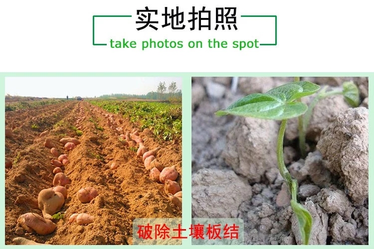 土壤改良肥 25公斤厂家现货供应 土壤改良剂 松土剂 松土精