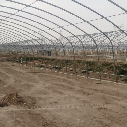 天津蔬菜大棚，养殖大棚
