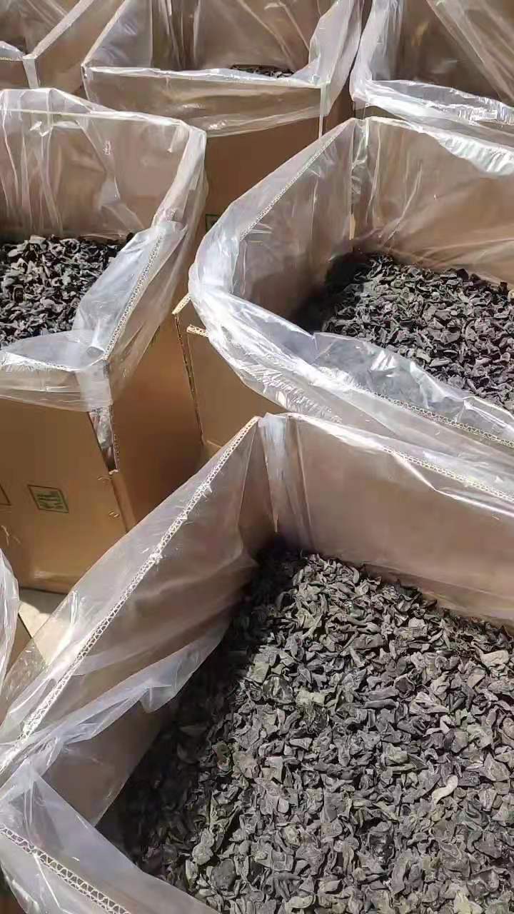 《包邮》东北黑木耳 单片无根 无味 地摊 电商 