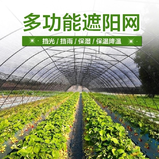 惠民县遮阳网 防尘网黑色绿色3/4/6/5/针农用大棚遮阴网