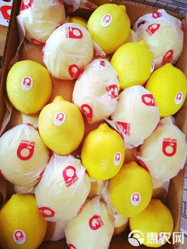 柠檬安岳柠檬 尤力克柠檬安岳黄柠檬 核心主产区 一级黄柠檬