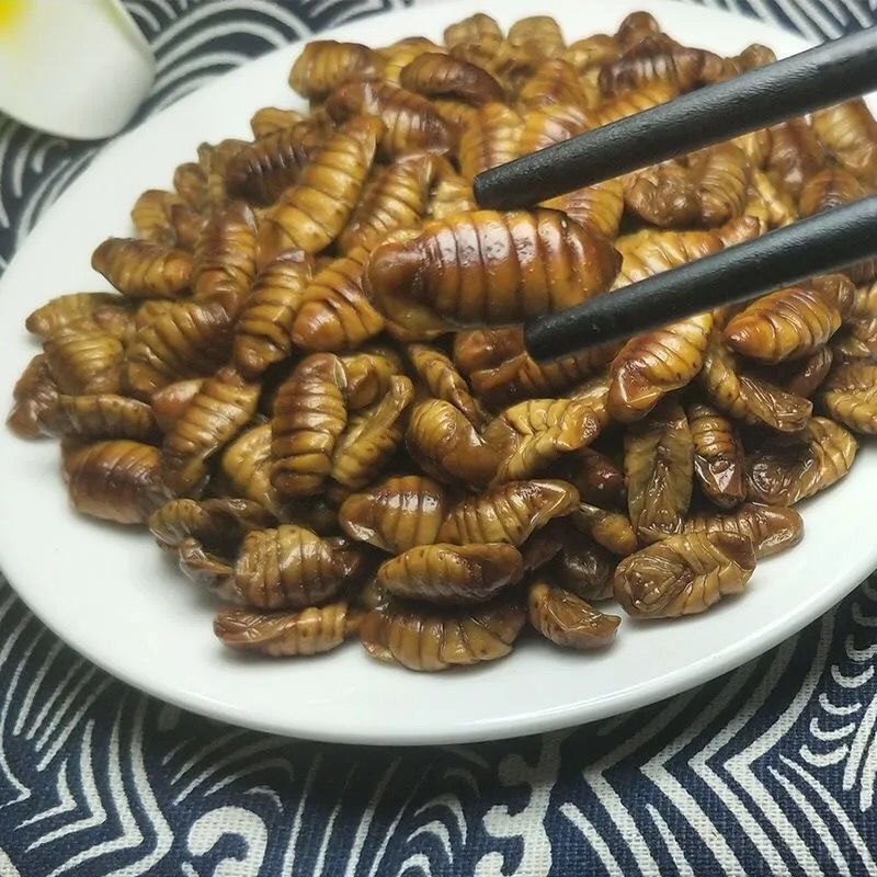 桑蚕蛹，小蚕蛹，高蛋白，新鲜发货