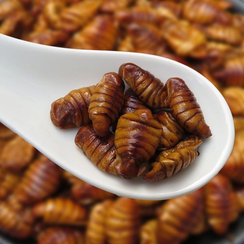 桑蚕蛹，小蚕蛹，高蛋白，新鲜发货