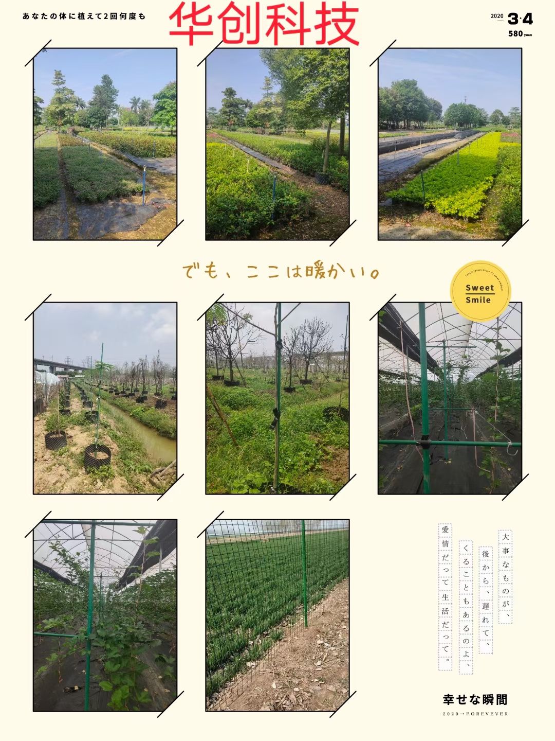 种植大棚  普通大棚，温室大棚，小拱棚弓子