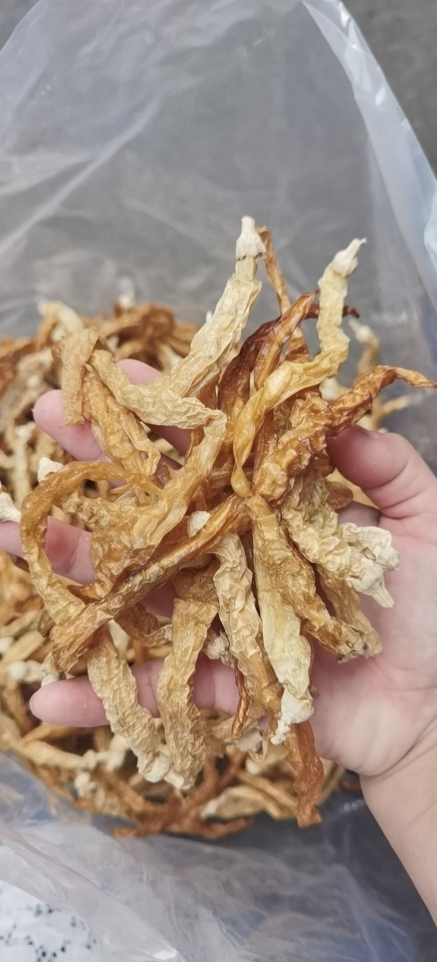 全干乡里白辣椒