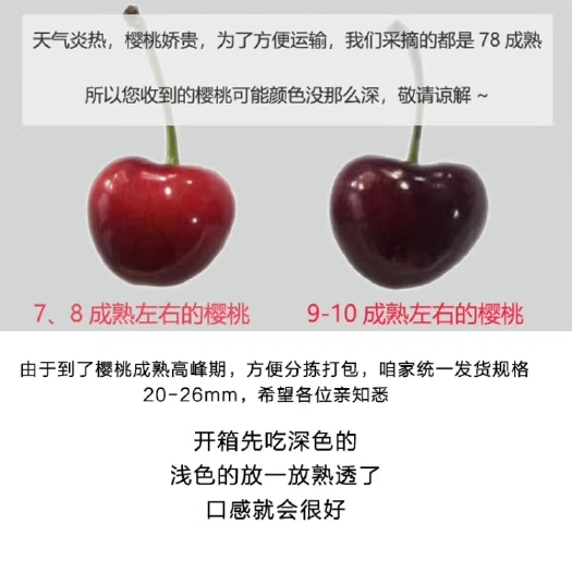 烟台红灯樱桃 好吃