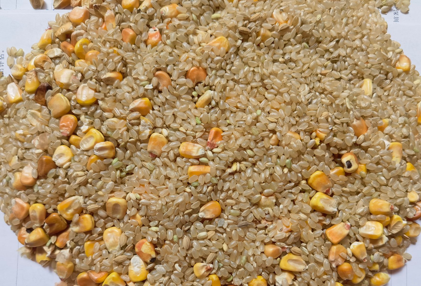 碎米  优质饲料米 大米玉米混合饲料米批发