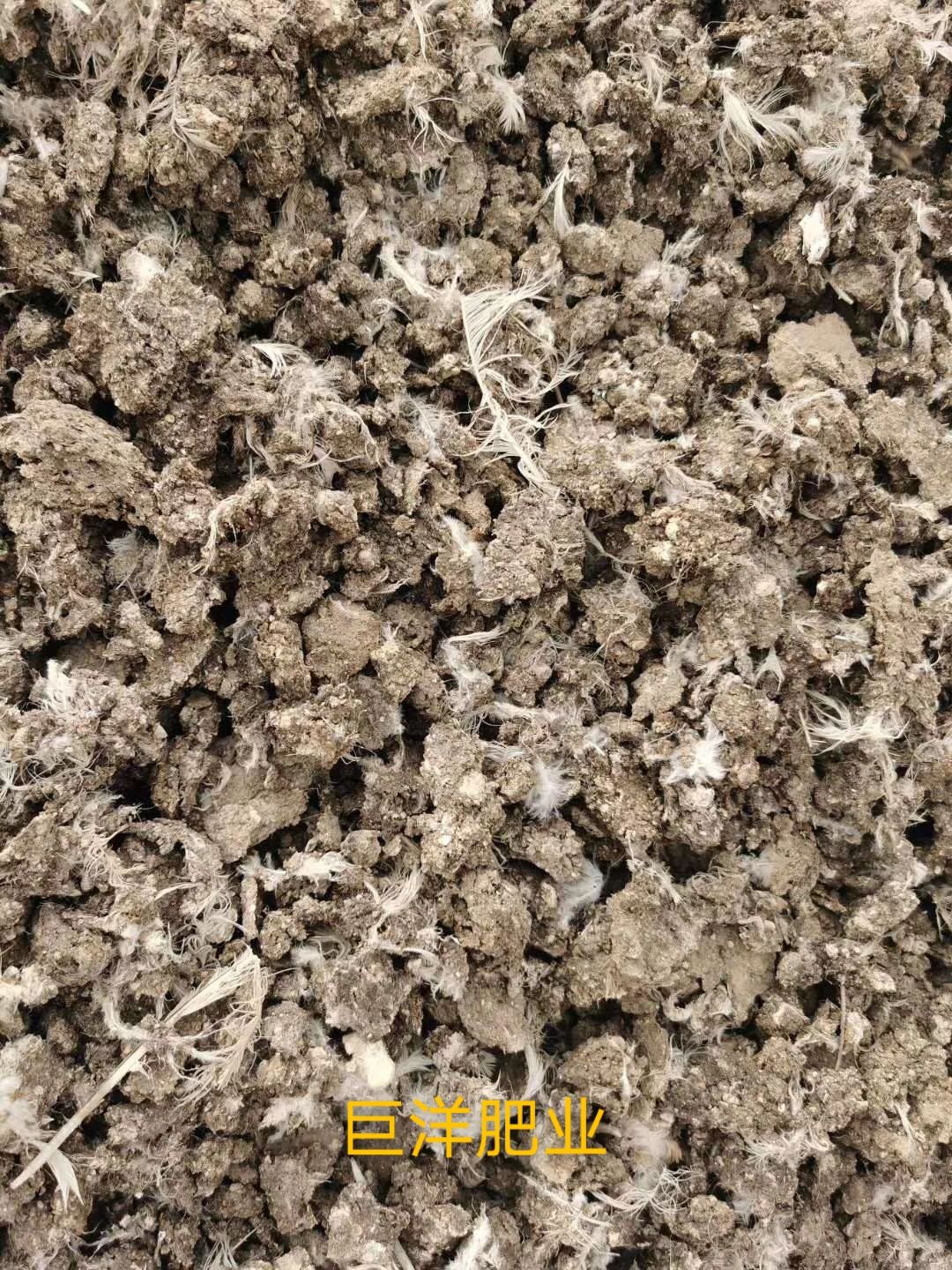 纯干鸡粪块  干鸡粪块  厂家直销  质优价廉