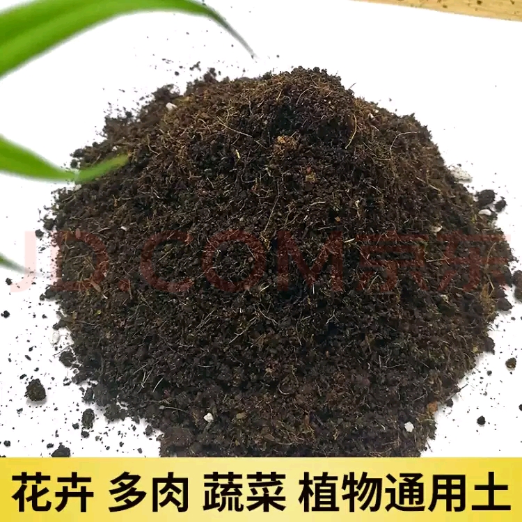  腐熟松针腐殖土天然有机营养土养花种菜土壤通用型透气腐叶种植土