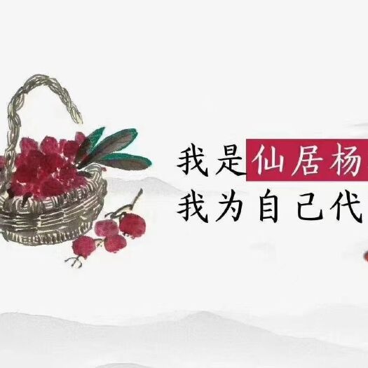 仙居县 仙居东魁杨梅