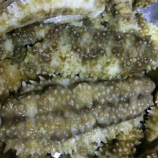 琼海市黄玉参 肉参