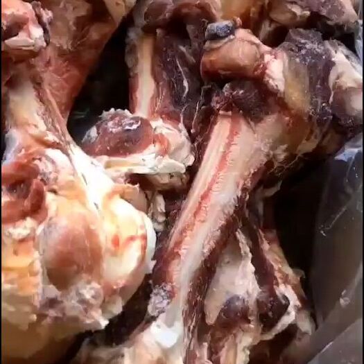 河间市牛骨  加肉牛棒骨