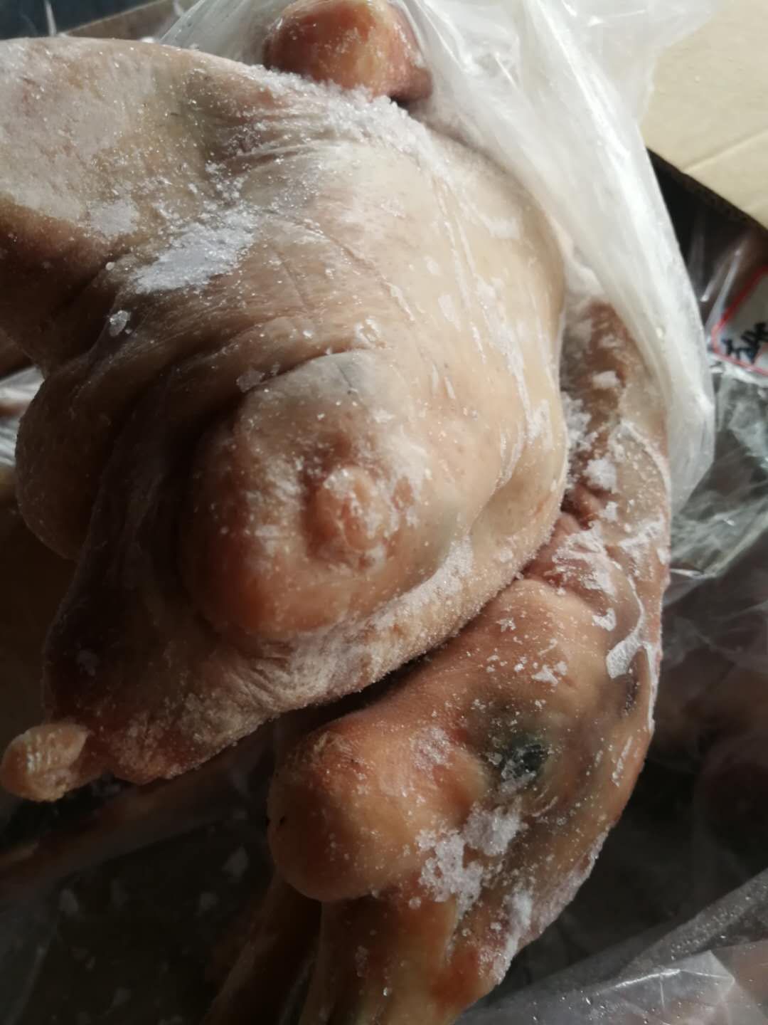 白条鹅  东北白条老鹅.仔鹅到货，130_150天中鹅，各种鹅副产品。
