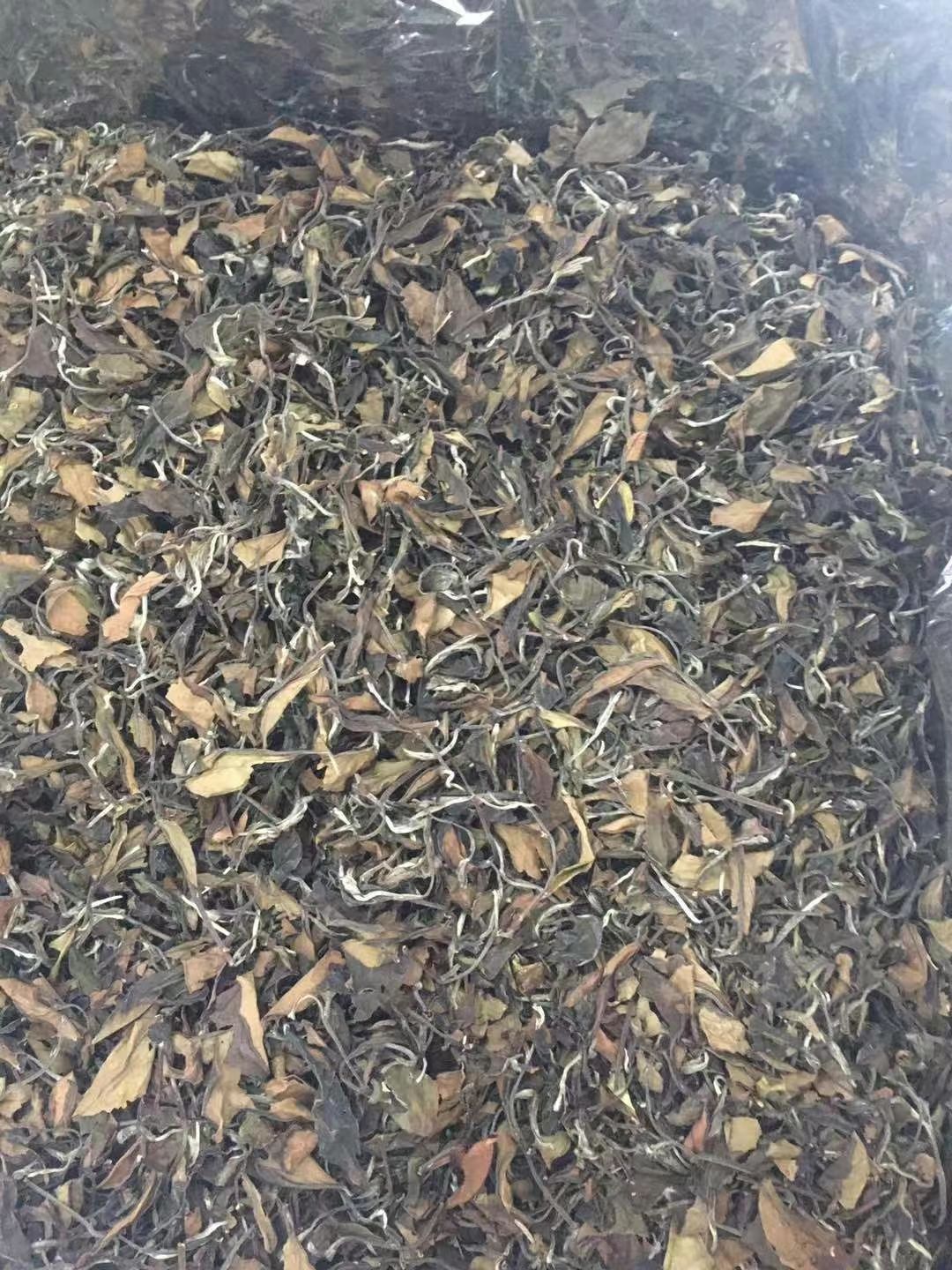 福鼎白茶批发零售