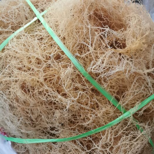 滕州市龙须菜，纯清水，泡发率好，凉菜，每包17斤。