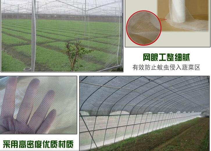 沭阳县 防虫网大棚防虫网果树防虫网养殖网蔬菜防虫网